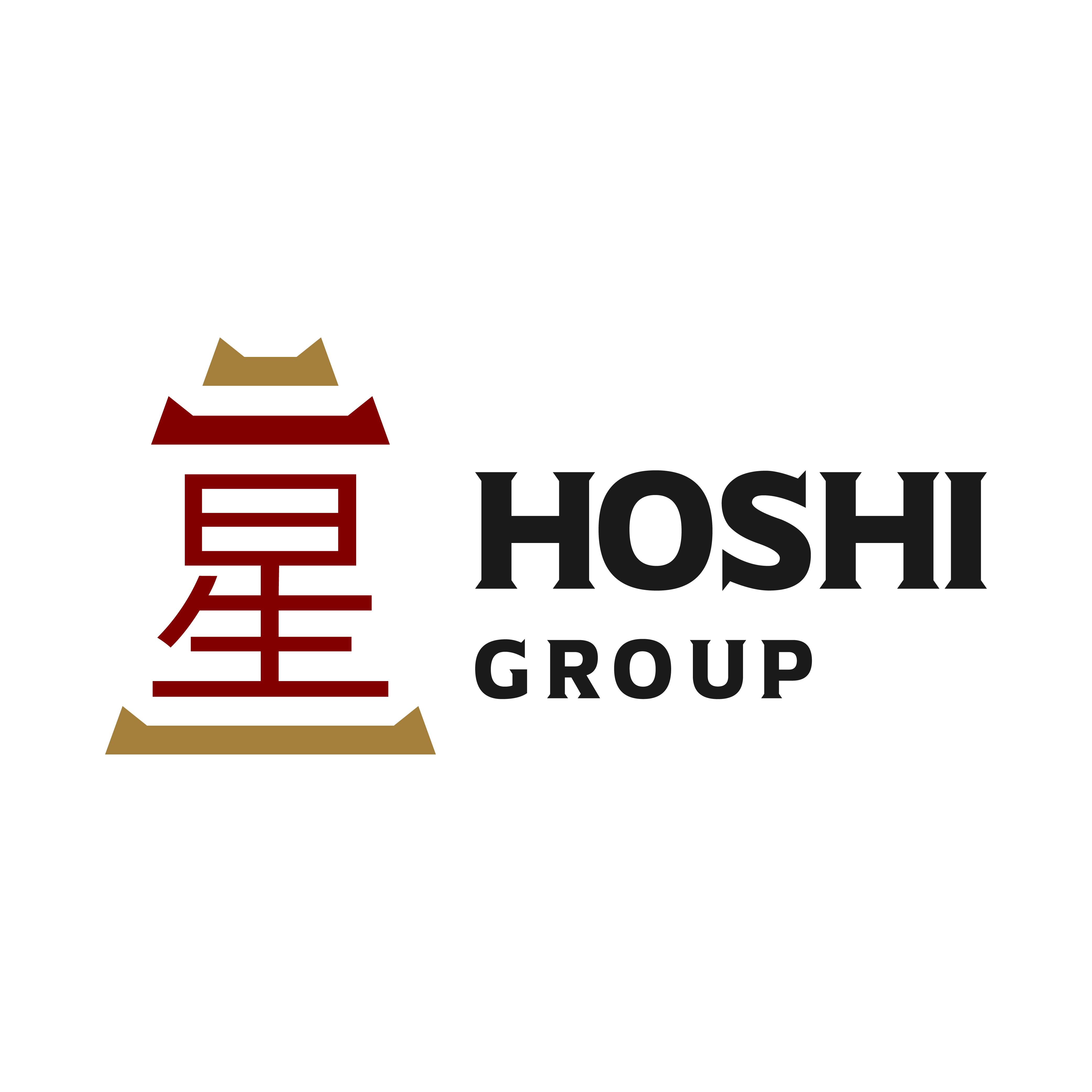 Hoshi Group logo